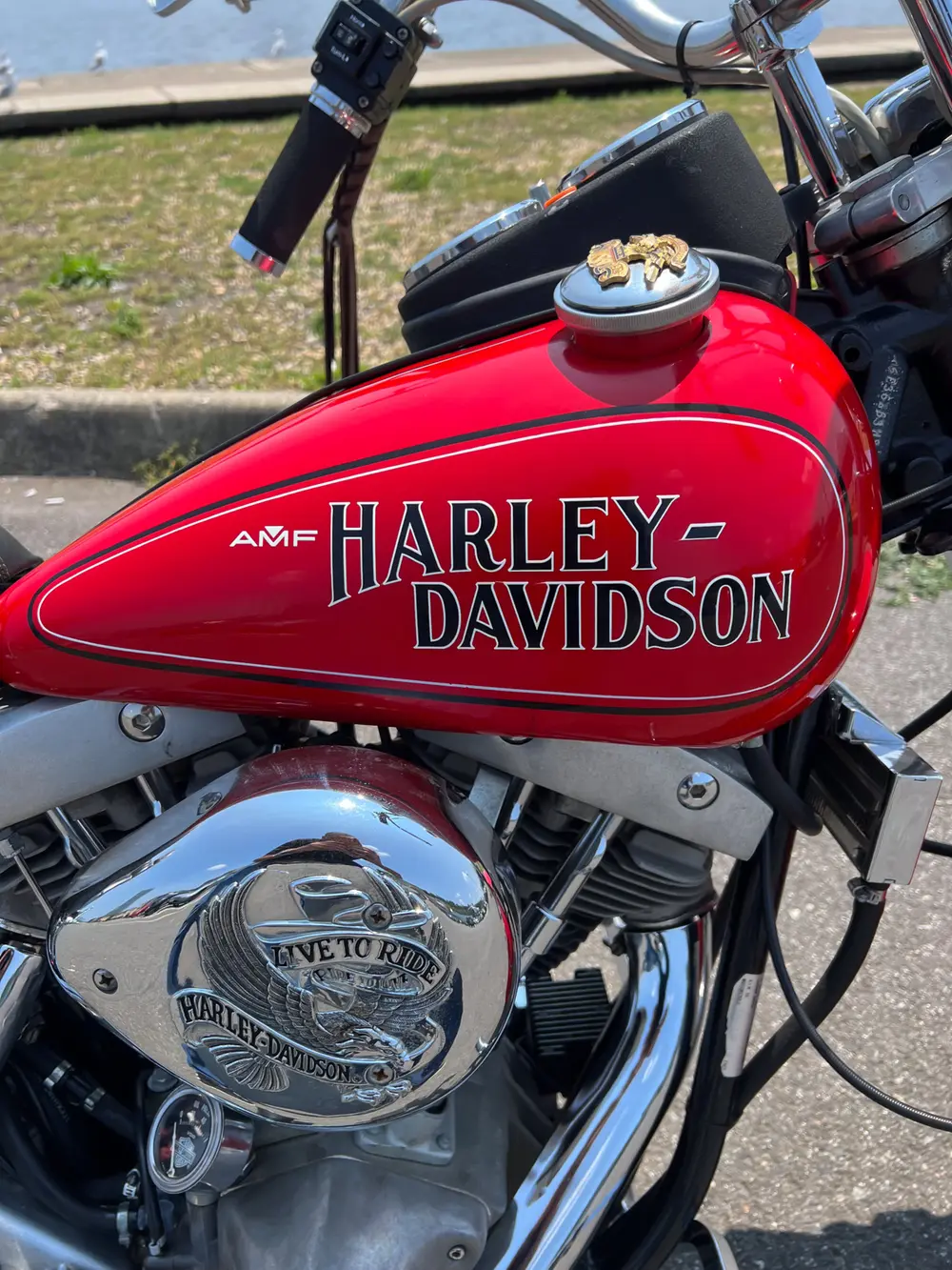 1979 Harley-Davidson FXE-F Fat Bob Super Glide — Auction Ended