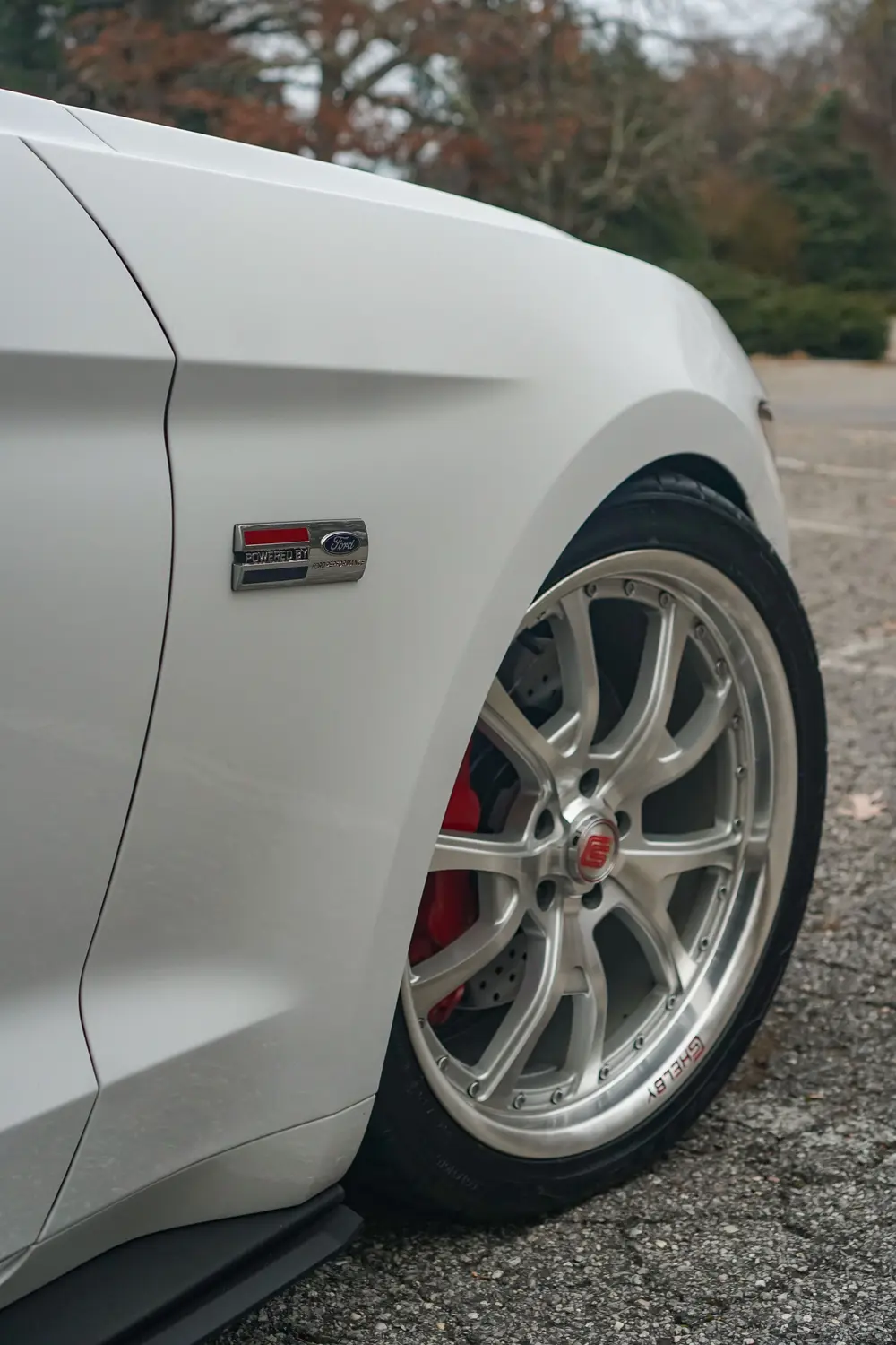 7k-Mile 2015 Ford Mustang GT 50th Anniversary 6-Speed Modified