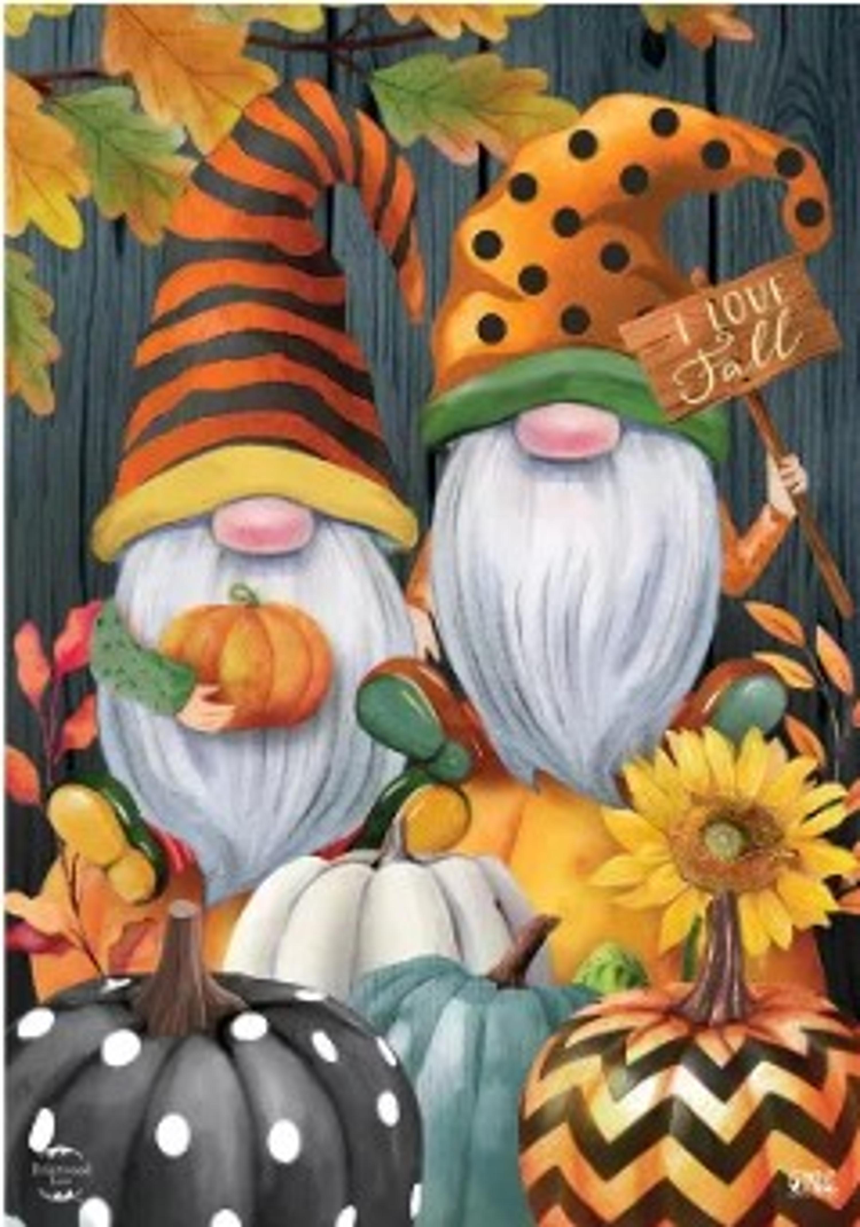 sale-(85) Fall Gnomes Humor House Flag Autumn Patterned Pumpkins 28" x 40" Briarwood Lane