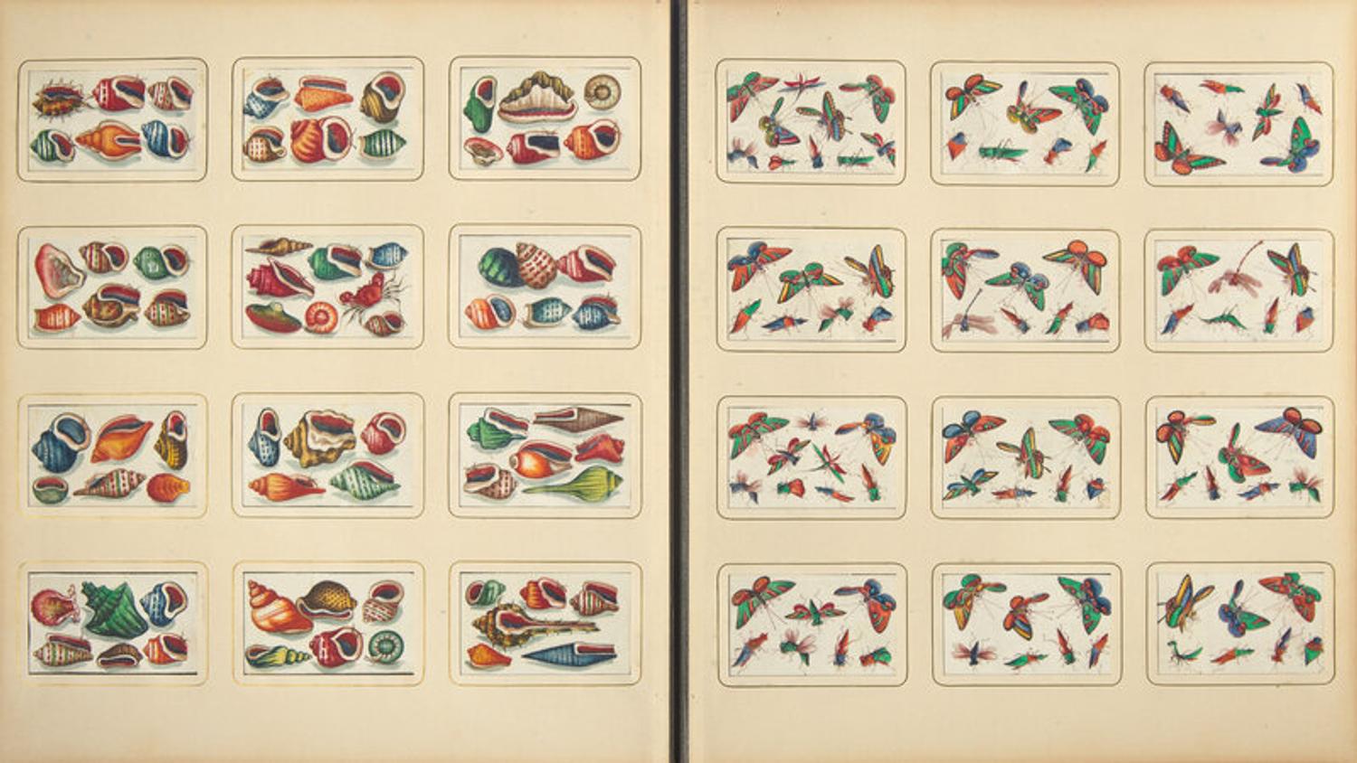 A Rare Album of 635 Chinese Export Miniature Pith Paintings, Second Half 19th Century 清晚期 外銷中國風情通草畫冊（通草畫共計635幅）