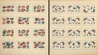 A Rare Album of 635 Chinese Export Miniature Pith Paintings, Second Half 19th Century 清晚期 外銷中國風情通草畫冊（通草畫共計635幅）