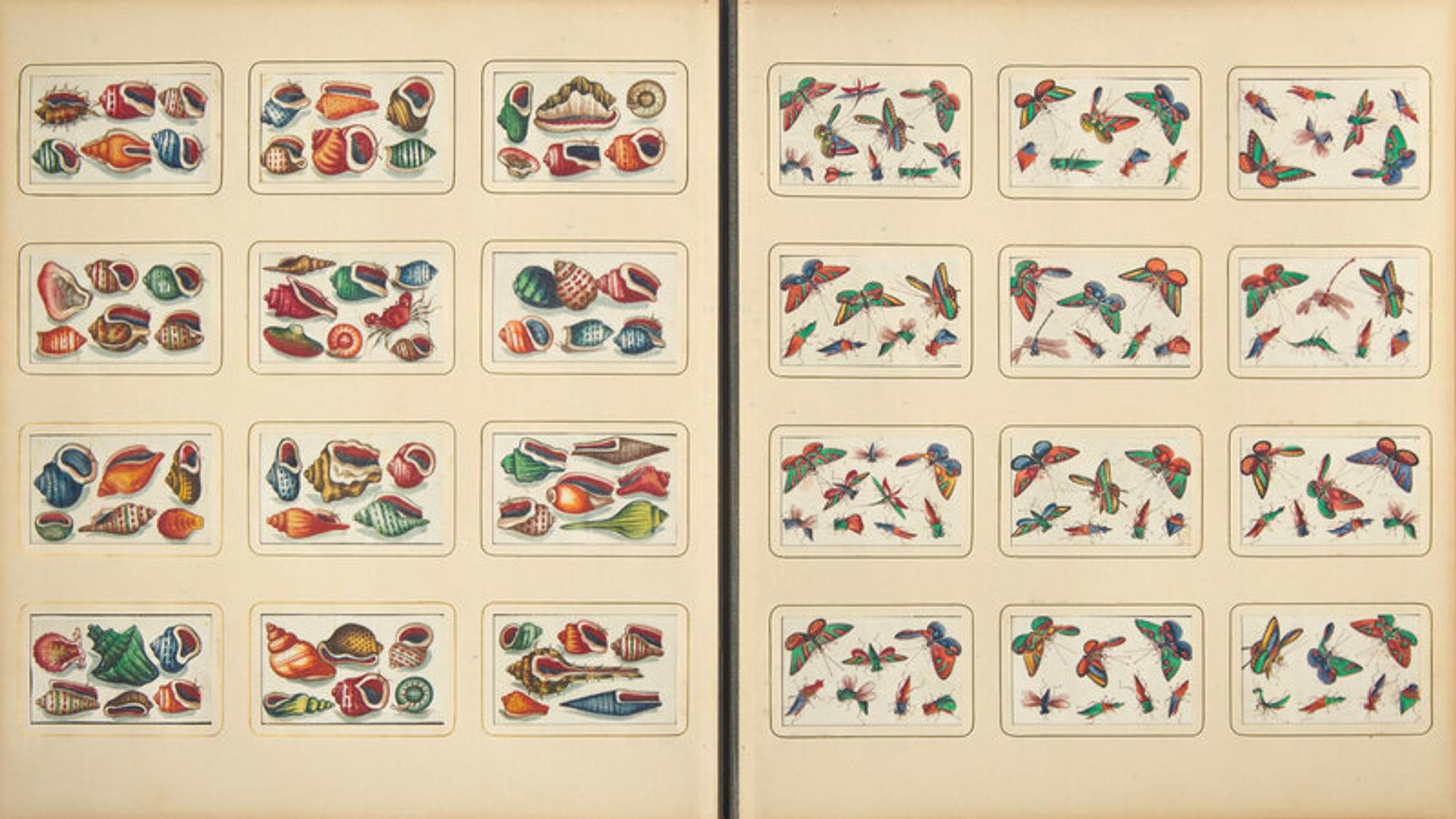 A Rare Album of 635 Chinese Export Miniature Pith Paintings, Second Half 19th Century 清晚期 外銷中國風情通草畫冊（通草畫共計635幅）