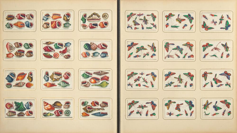 A Rare Album of 635 Chinese Export Miniature Pith Paintings, Second Half 19th Century 清晚期 外銷中國風情通草畫冊（通草畫共計635幅）