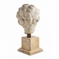 A Large Italian Marble Head of a Putto