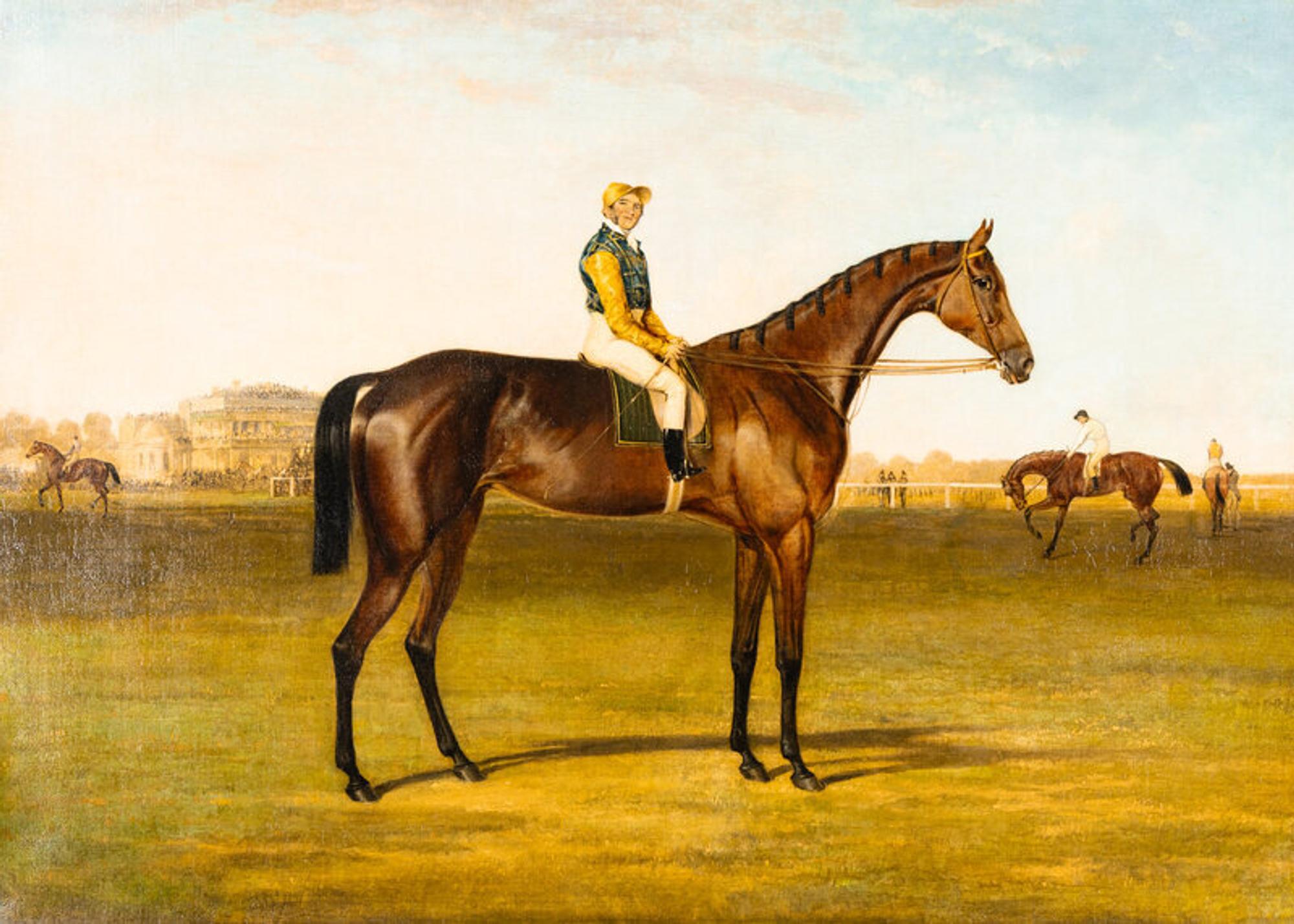 Harry Hall (British, 1814-1882) — Portrait of Blue Bonnett