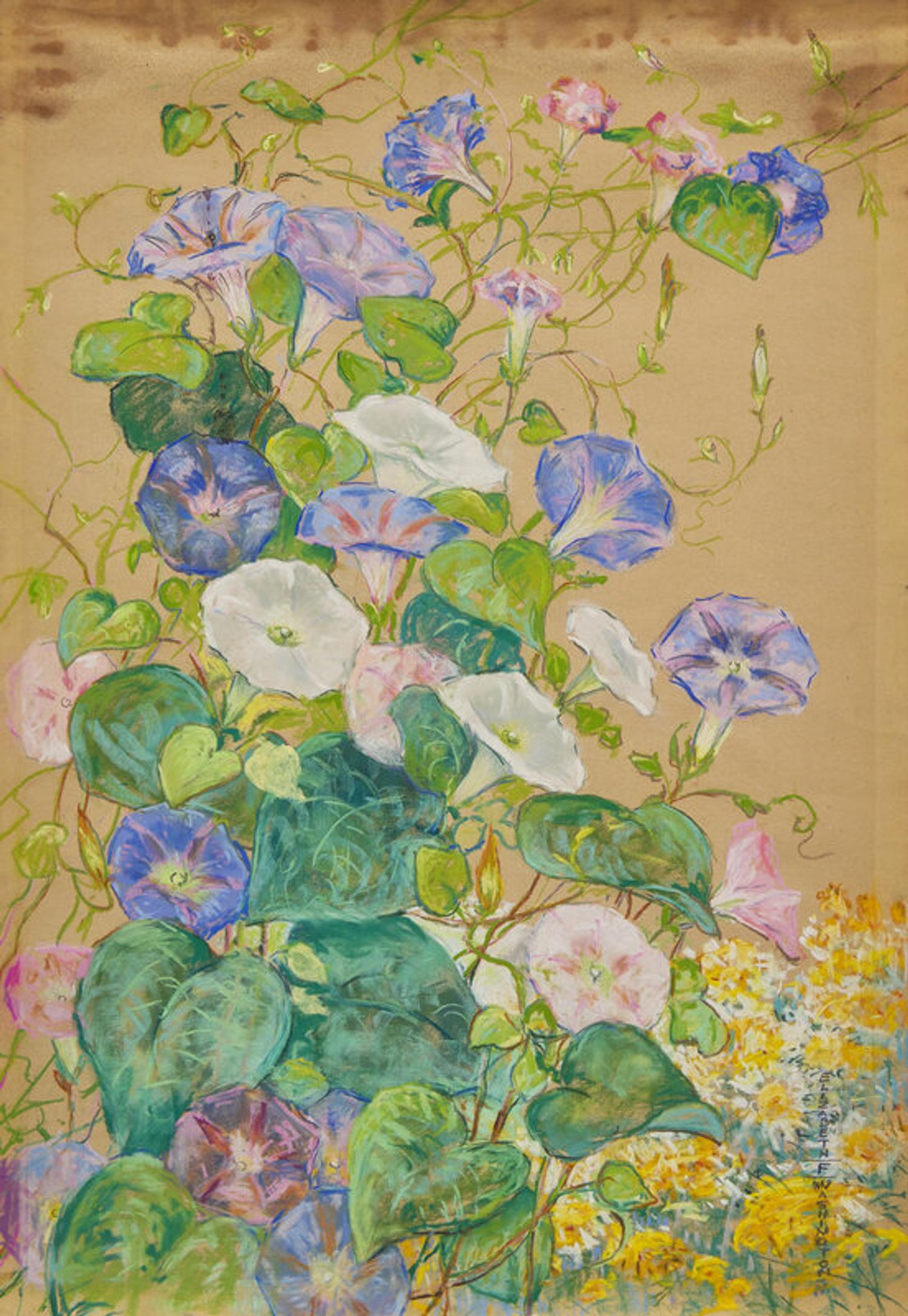 Elizabeth Fisher Washington (American, 1871-1953) — Morning Glories; A Pair