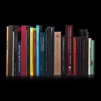 28 Single Owner Snuff Bottle Collections and Group Exhibitions Catalogues 私人鼻烟壺收藏圖錄28冊