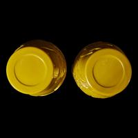 A Pair of Chinese Yellow "Peking" Glass Vases 黃料梅花紋賞瓶一對