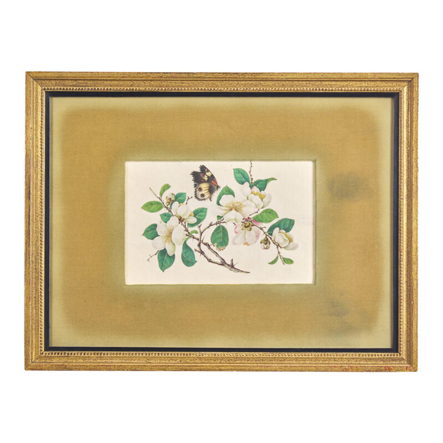 Four Chinese Pith Paintings, Late 19th-Early 20th Century 清晚期 通草畫四幅