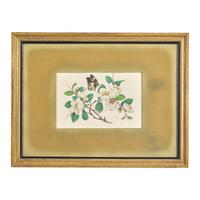 Four Chinese Pith Paintings, Late 19th-Early 20th Century 清晚期 通草畫四幅