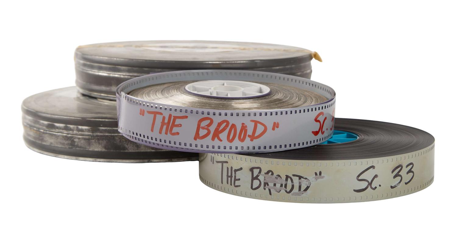 Samantha Eggar | 1979 35mm “The Brood” Outtake lot