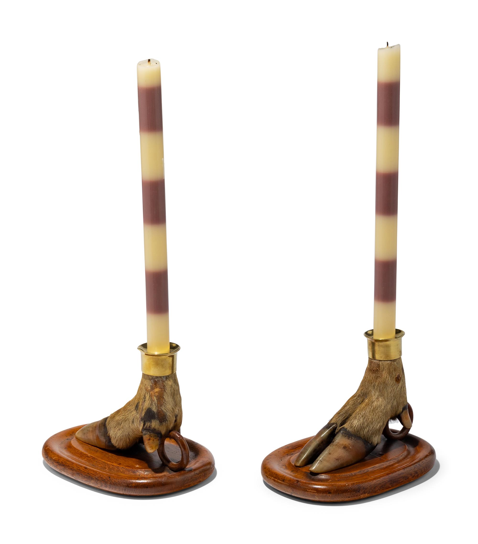 A Pair of Taxidermy Hoof Candlesticks
