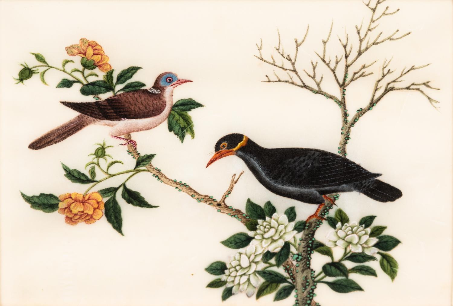 A Collection of Twelve Chinese Export Pith Paintings