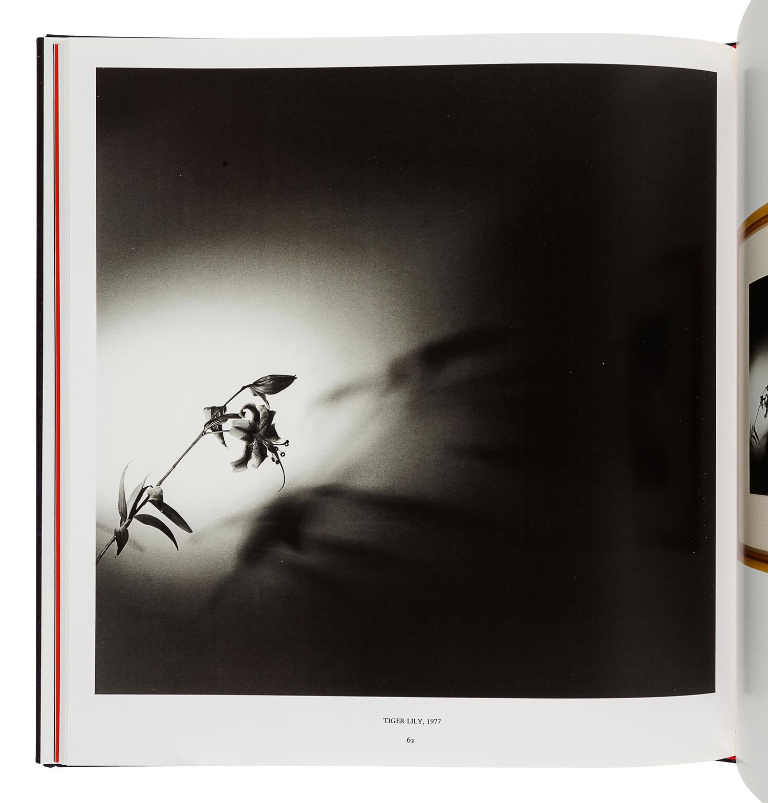 [MAPPLETHORPE, Robert (1946-1989)]. Mapplethorpe Altars. New York: Random House, 1995.