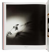 [MAPPLETHORPE, Robert (1946-1989)]. Mapplethorpe Altars. New York: Random House, 1995.