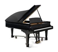 A Steinway and Sons Ebonized Grand Piano
