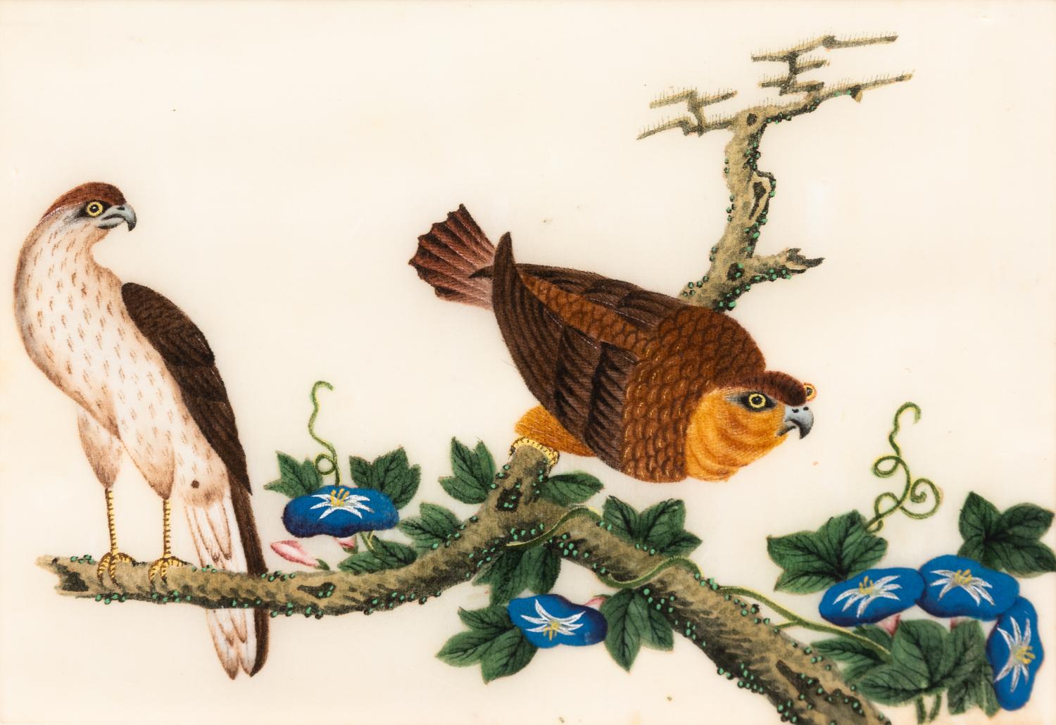 A Collection of Twelve Chinese Export Pith Paintings