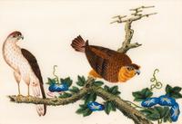 A Collection of Twelve Chinese Export Pith Paintings
