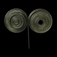 A Hallstatt Bronze Pin