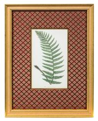 A Group of Four Botanical Prints Each 9 1/4 x 5 3/8 inches (visible).