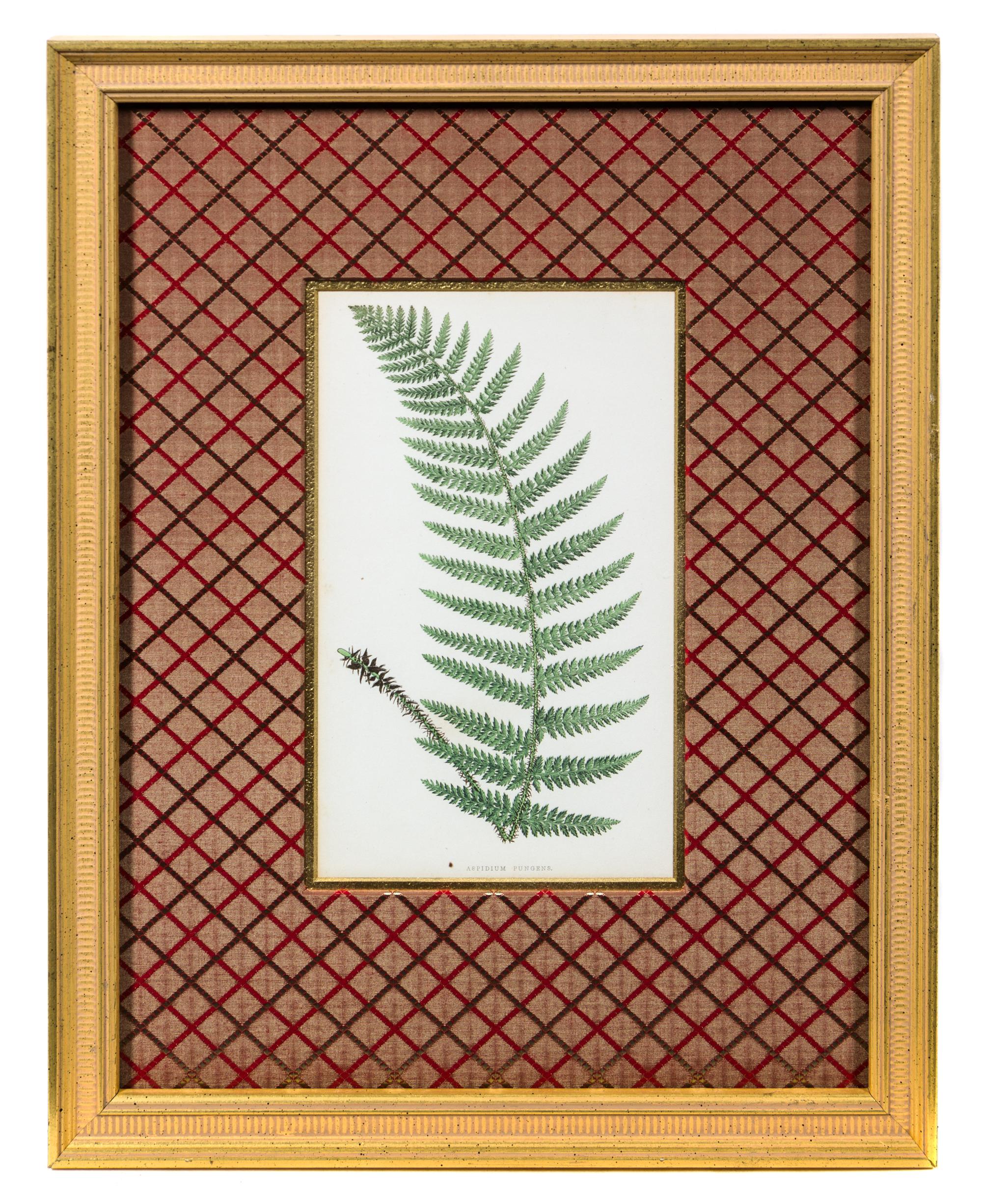 A Group of Four Botanical Prints Each 9 1/4 x 5 3/8 inches (visible).
