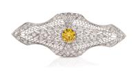 A Platinum, Colored Diamond and Diamond Brooch, 6.50 dwts.