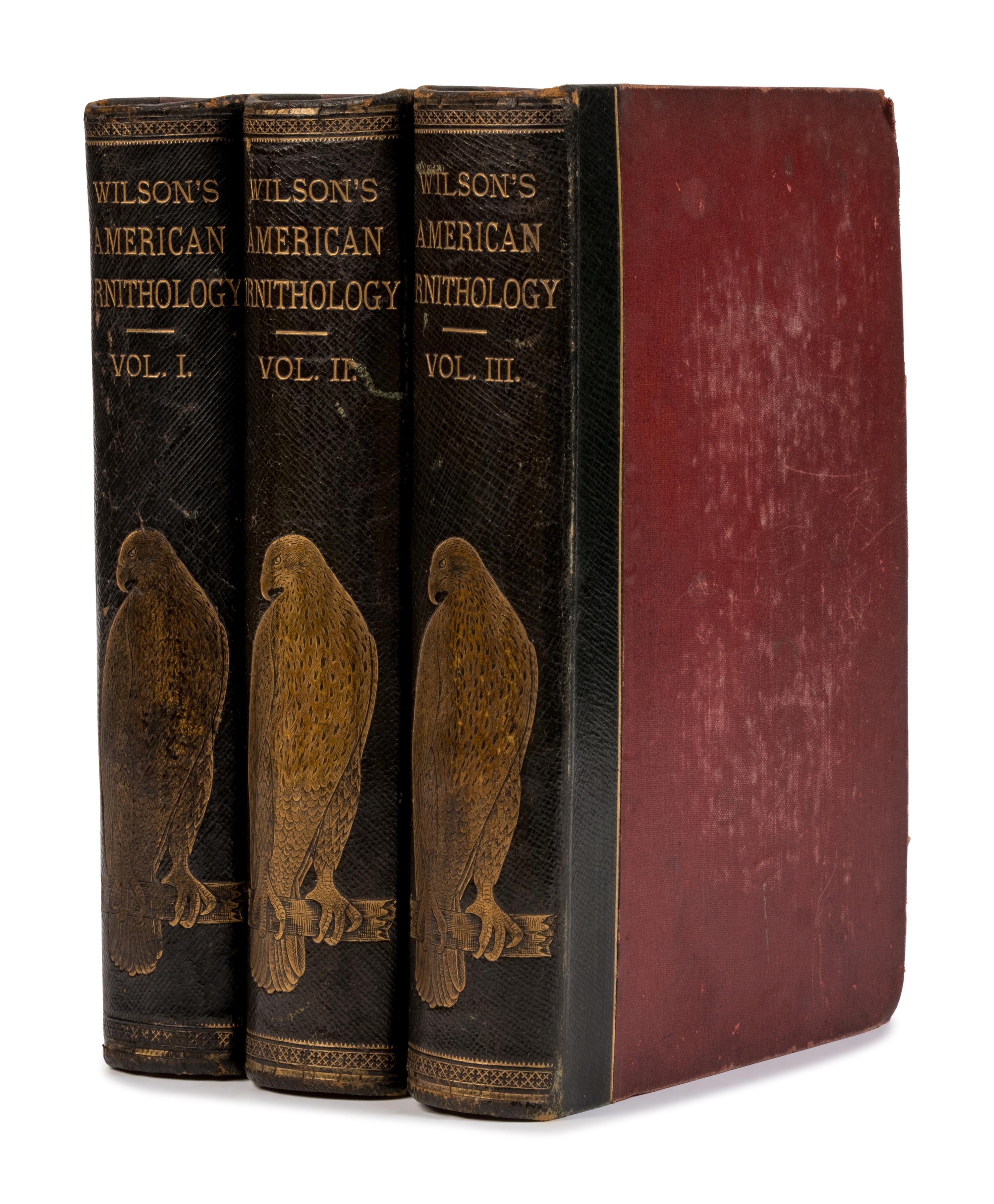 [Natural History] Wilson, Alexander and Charles Lucien Bonaparte. American Ornithology; or, The Natural History of the Birds of the United States
