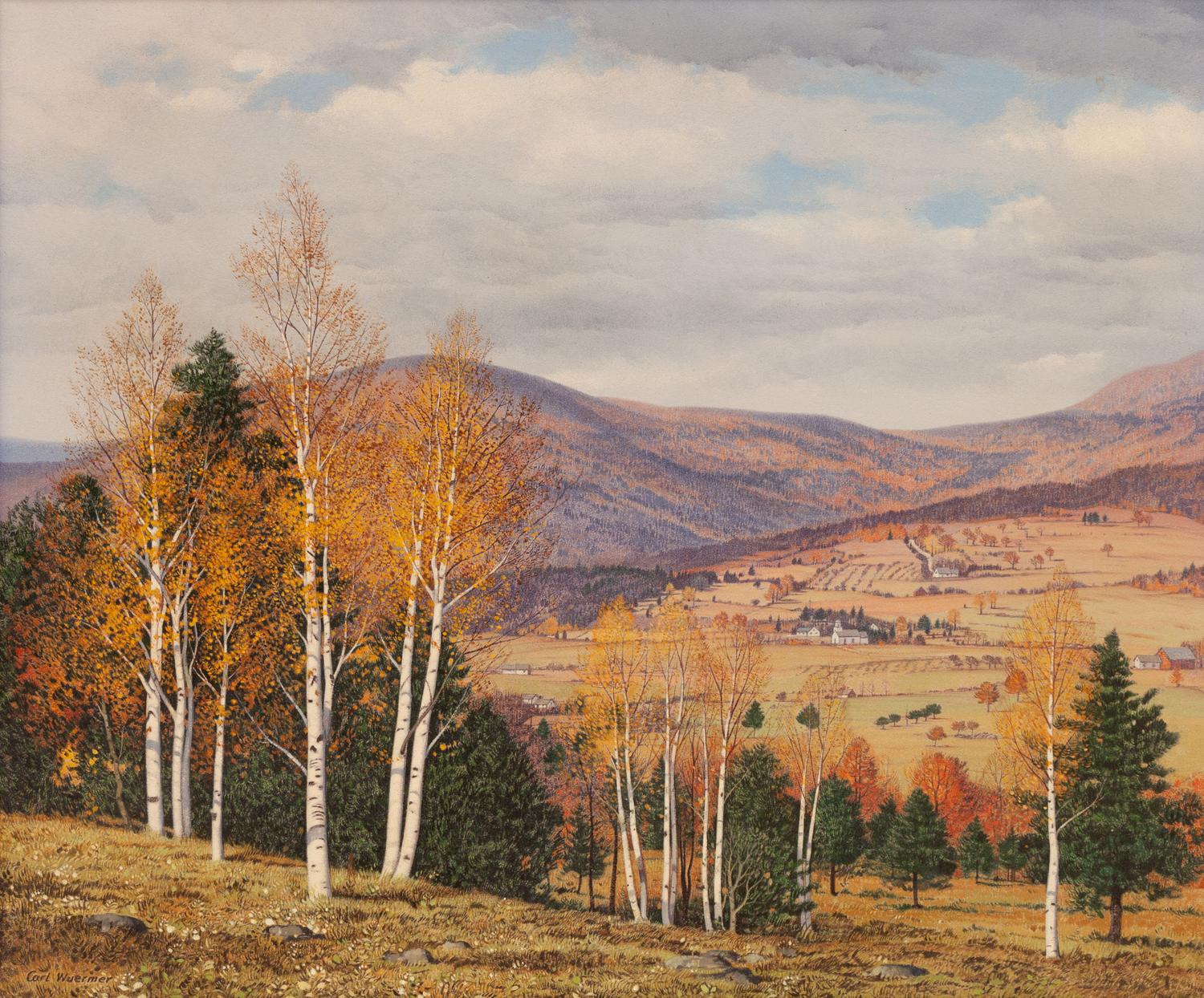 Birches in Autumn