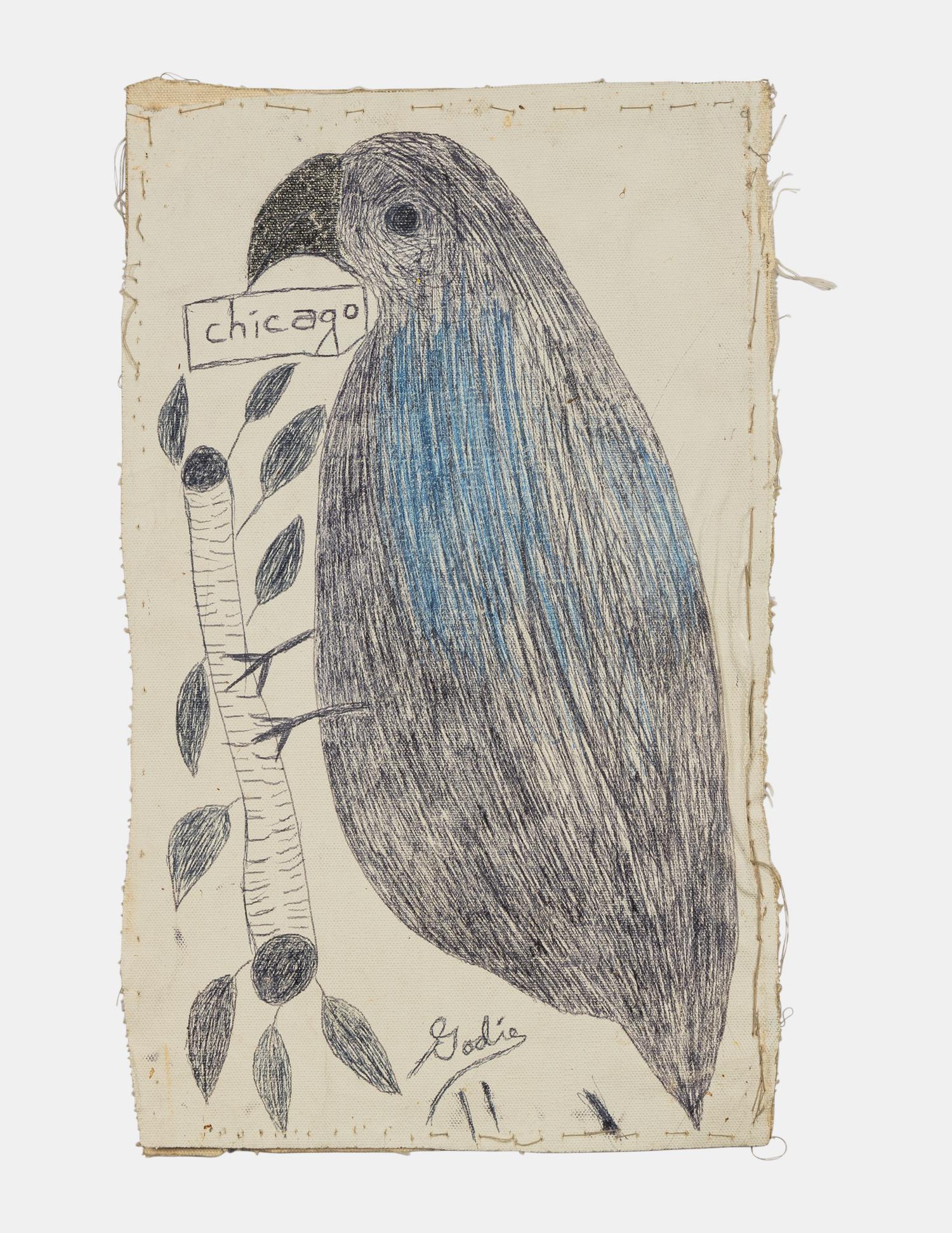 Chicago (Birds)