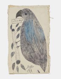 Chicago (Birds)