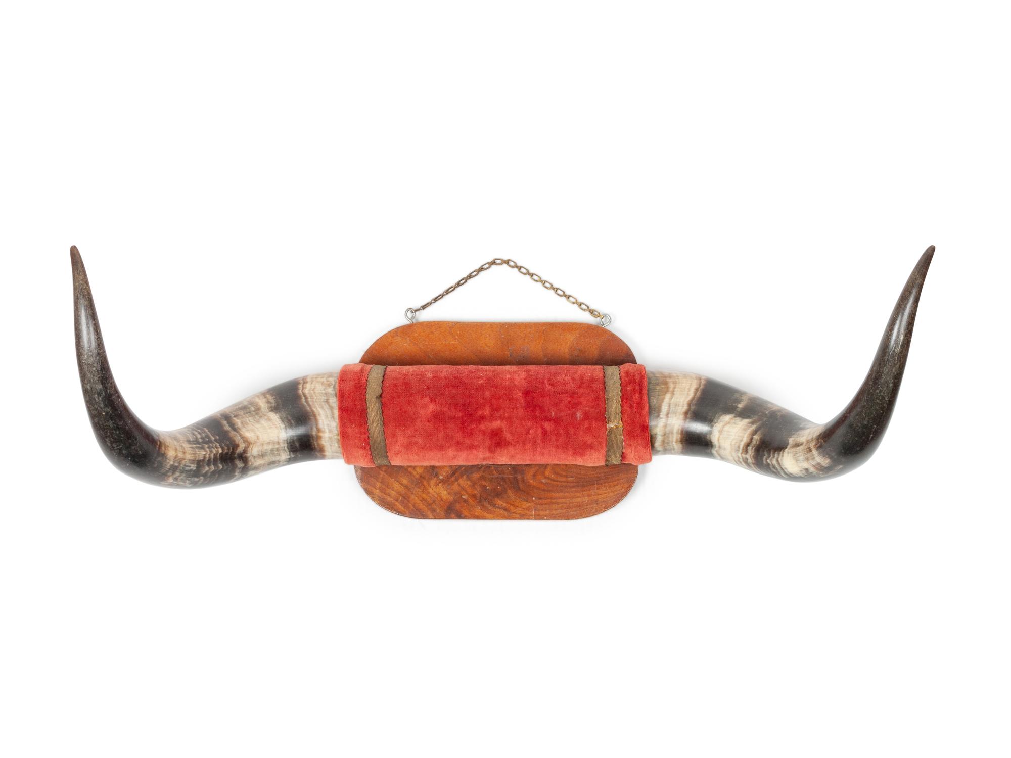 Four Decorative Longhorn Mounts