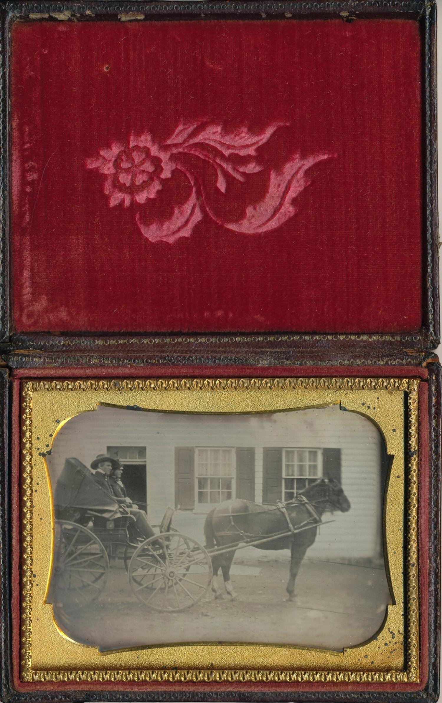 [Daguerreotype] Trusty the Horse