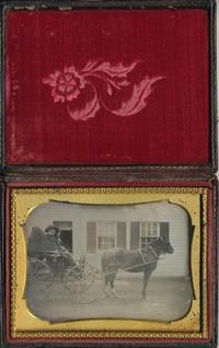 [Daguerreotype] Trusty the Horse