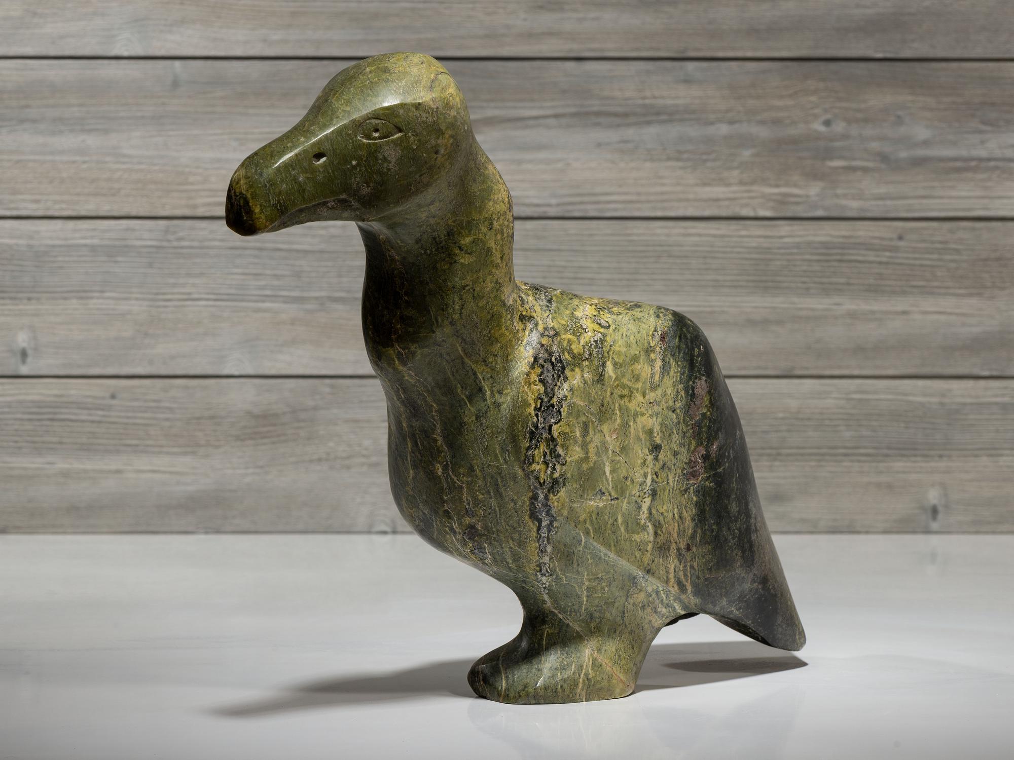 untitled, cormorant
