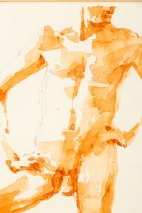 Male Torso