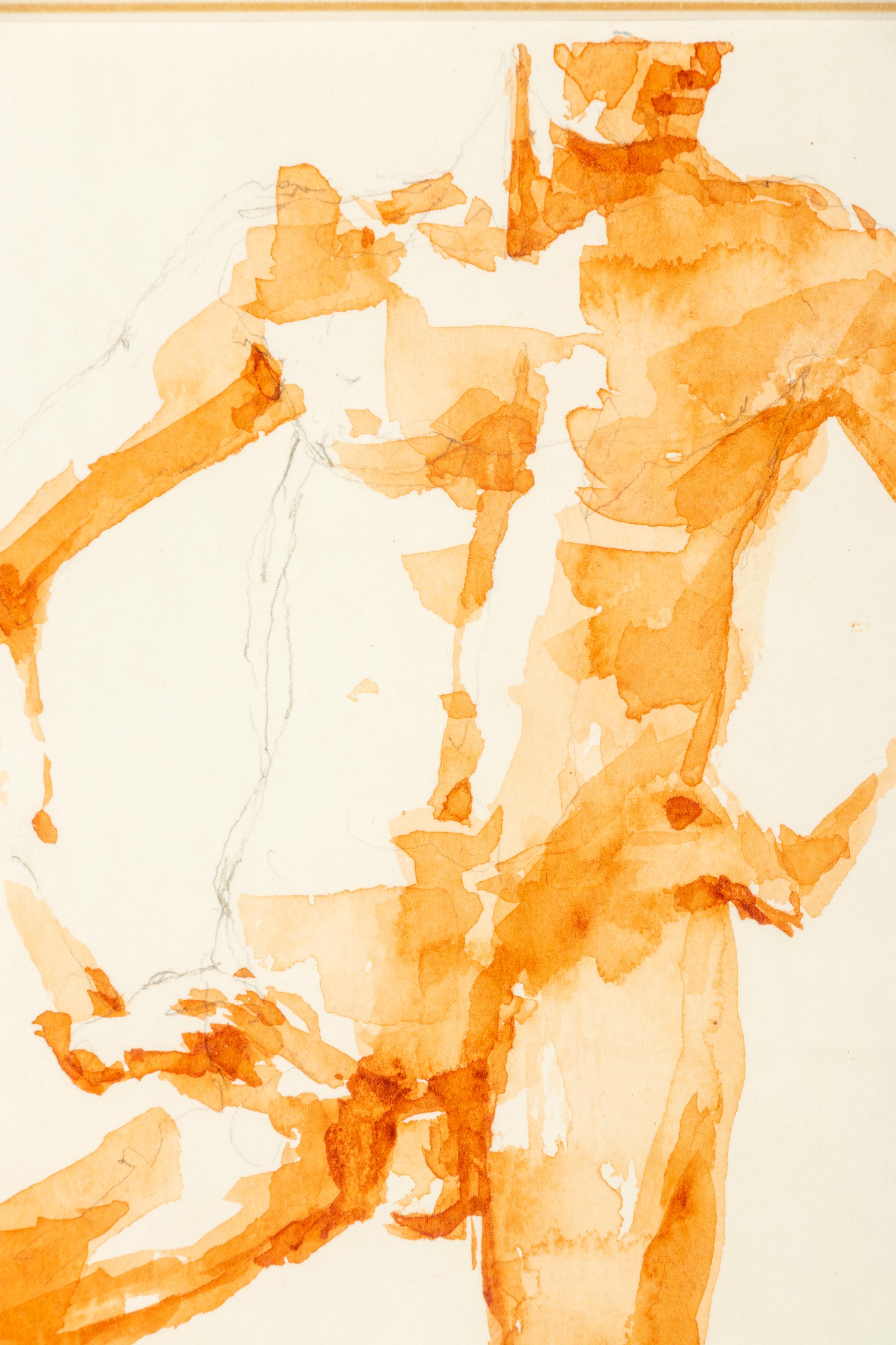 Male Torso