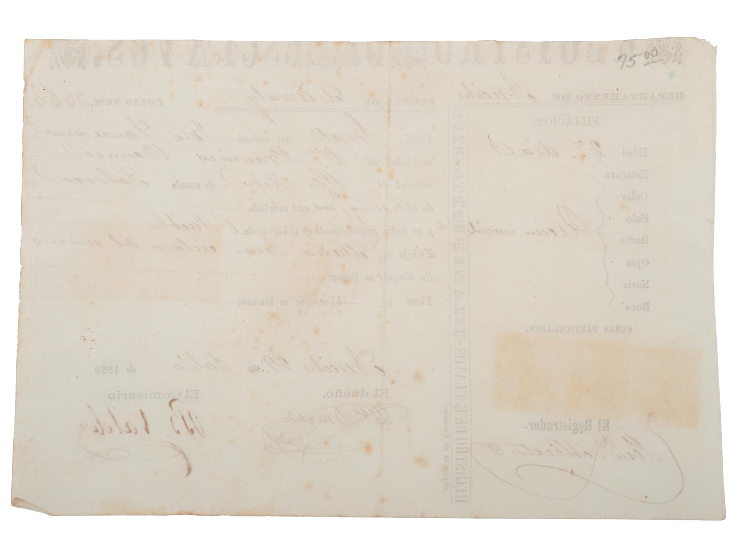 [SLAVERY & ABOLITION]. Partially printed Spanish-language "Registro de Esclavos," a Puerto Rican registration document for enslaved infant "José Laurence." 29 July 1869.
