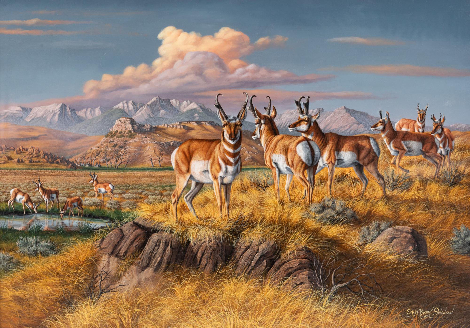 Shoshoni Hunting Grounds