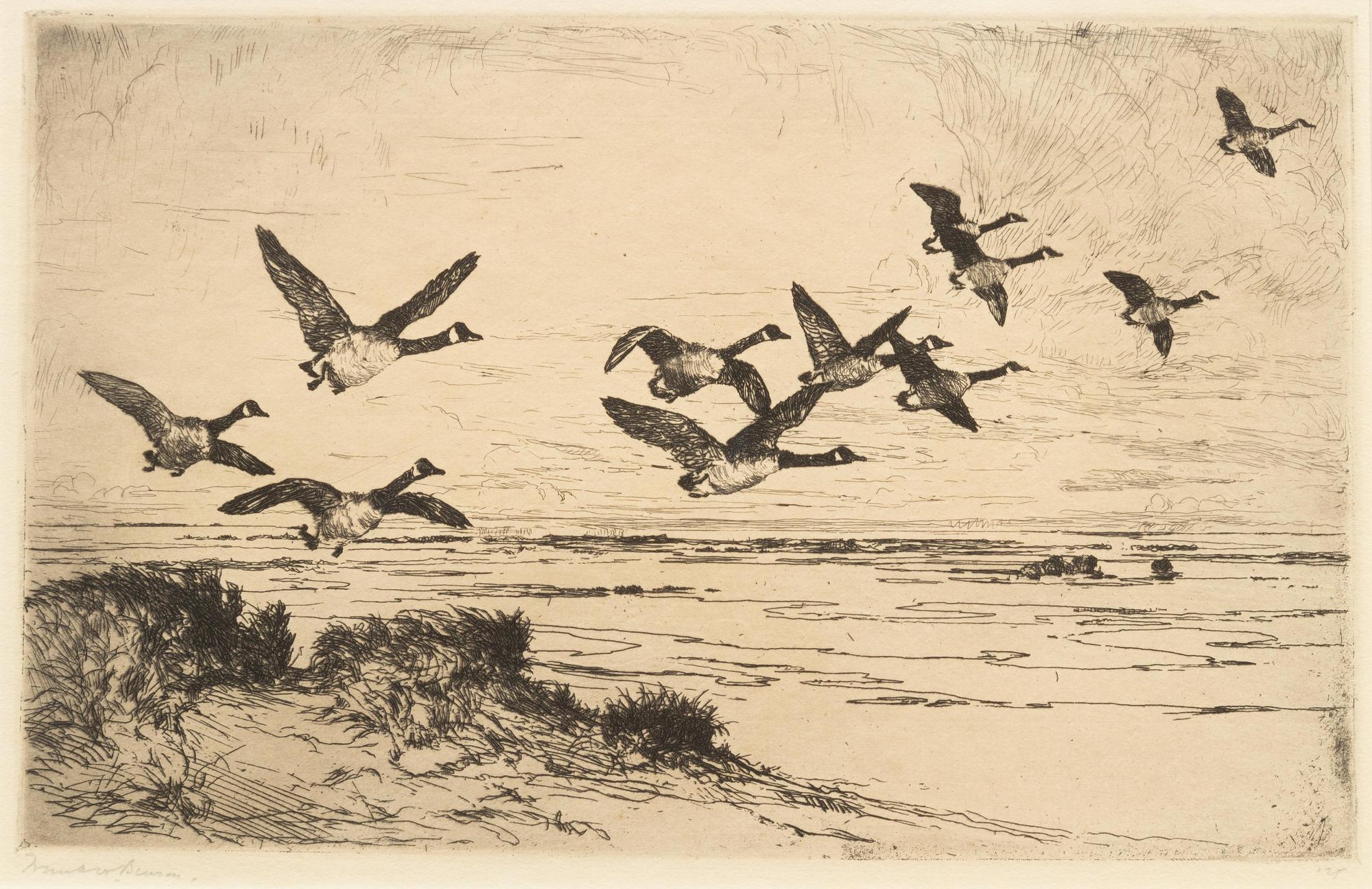 Wild Geese