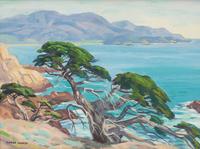 Cypress at Pebble Beach