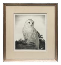 A group of five prints ( Memory , 1971; Four Chickadees , 1956; Little Friends , 1972; Red-Winged Black Birds , 1946; The Matriarch, Owl )