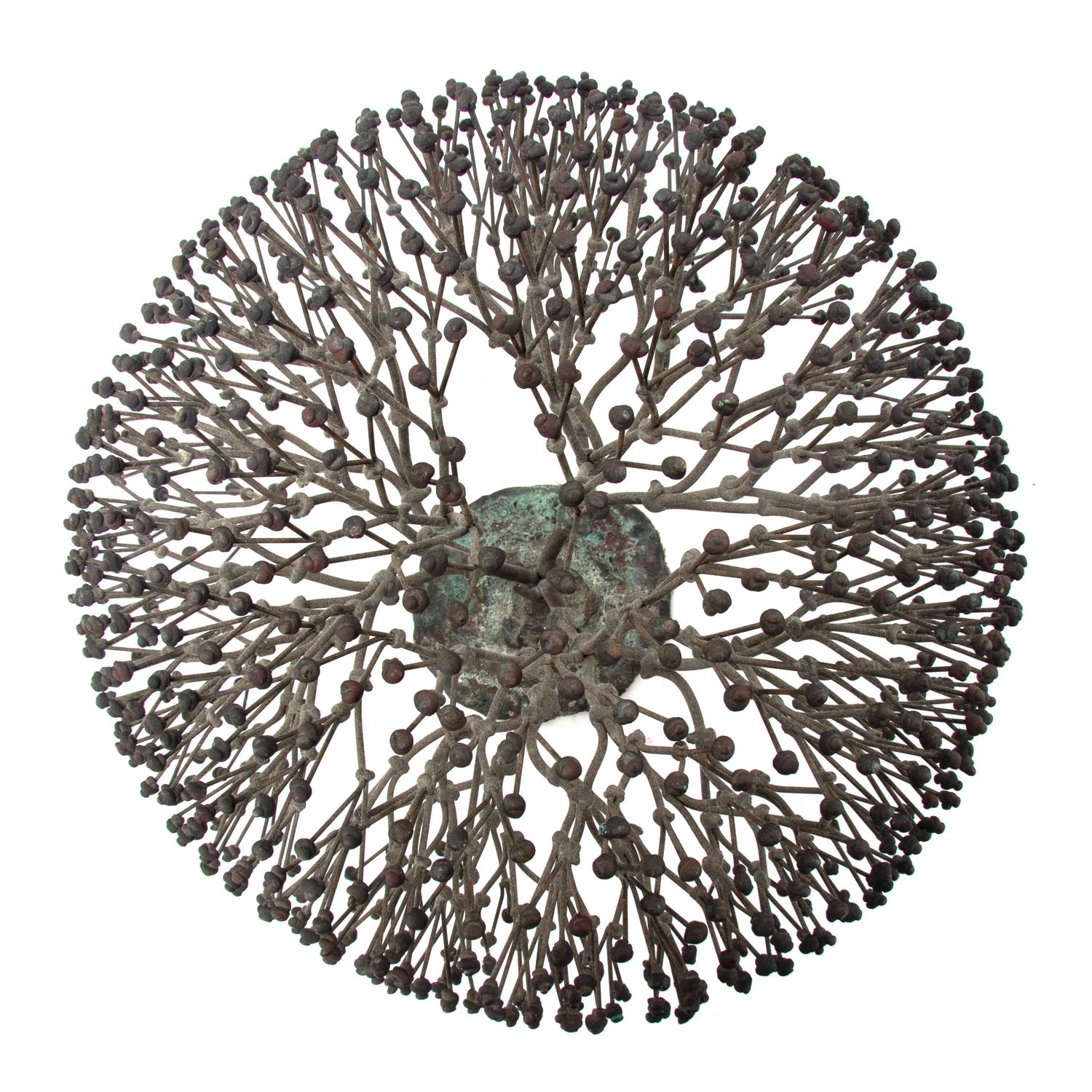 Untitled (Bush), c. 1970s