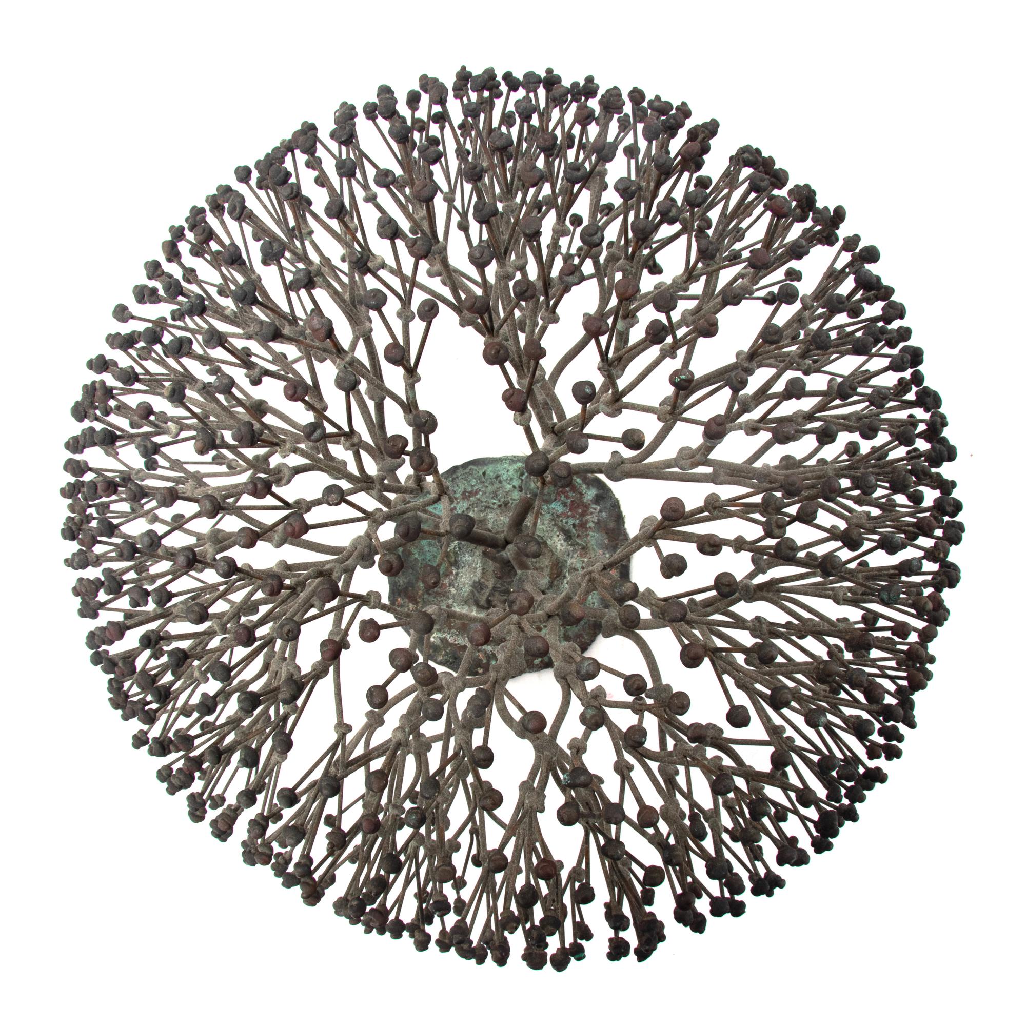 Untitled (Bush), c. 1970s