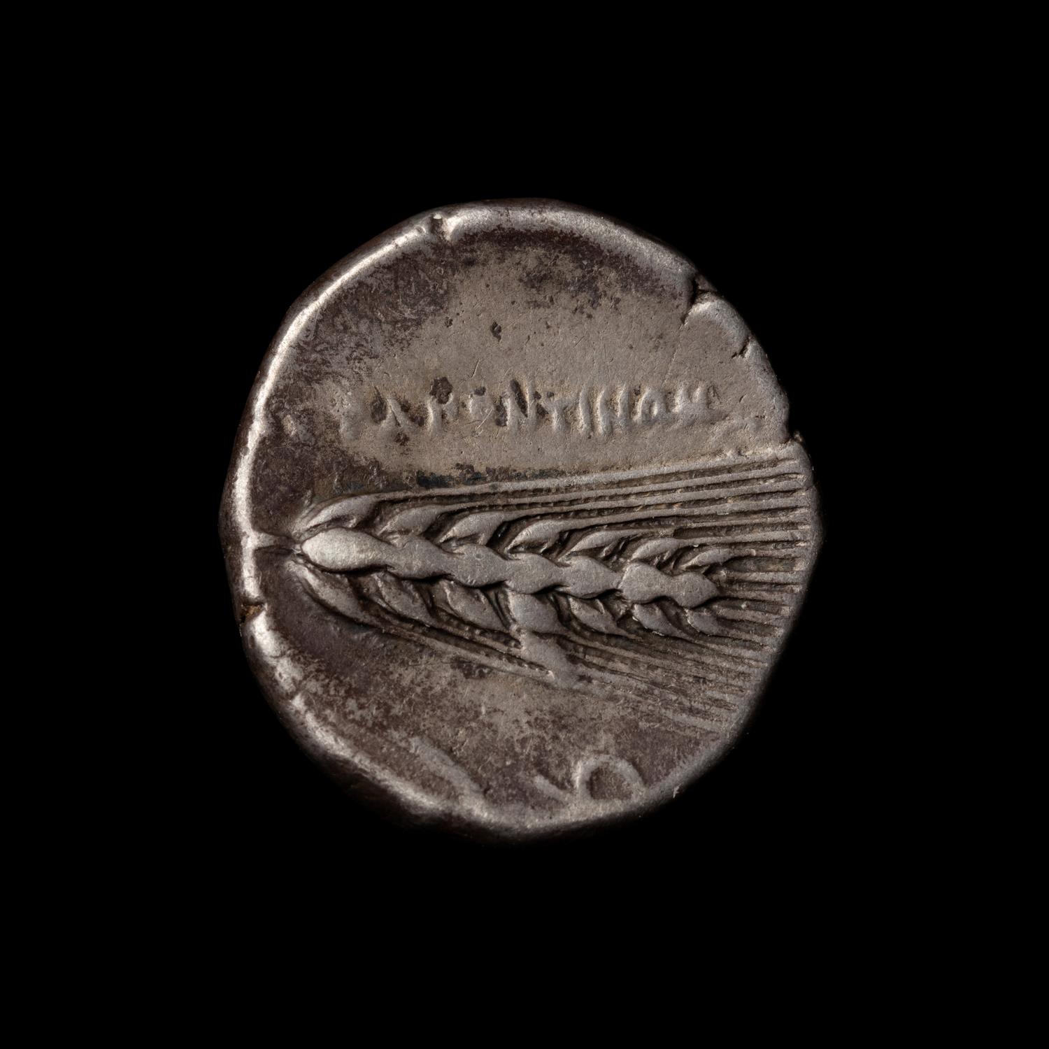 [ANCIENTS] LUCANIA. Metopontum (c. 350 BC). Ar Didrachm. (7.7 g, 20mm).