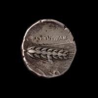 [ANCIENTS] LUCANIA. Metopontum (c. 350 BC). Ar Didrachm. (7.7 g, 20mm).