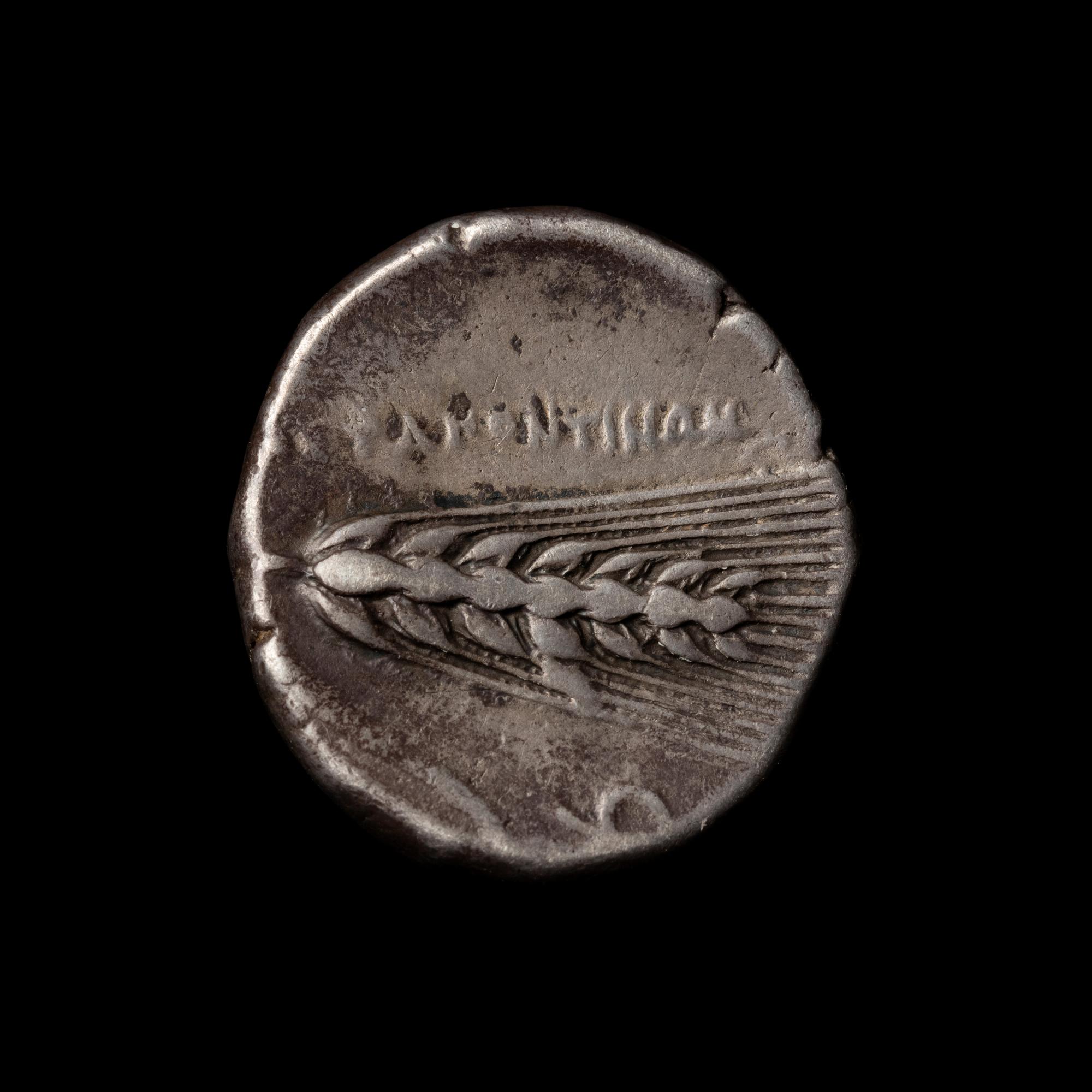 [ANCIENTS] LUCANIA. Metopontum (c. 350 BC). Ar Didrachm. (7.7 g, 20mm).