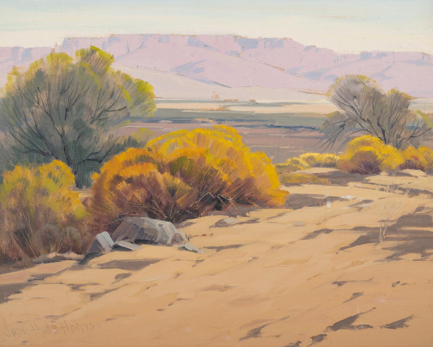 Mountain Mesa
