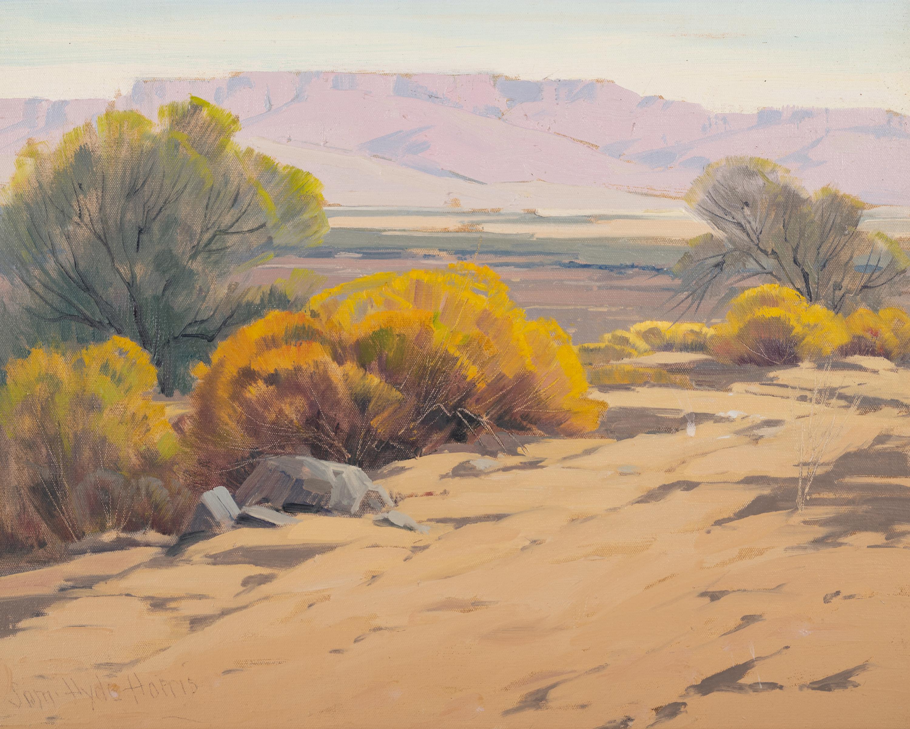 Mountain Mesa
