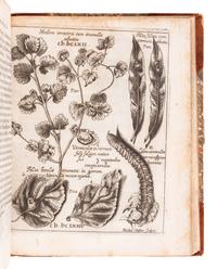 WELSCH, Georg Hieronymus (1624-1677). Hecatosteae I [ -II ]. Observationum Physico-Medicarum ad Societatem Naturae Curiosorum in Germania . Augsburg: Theophil Goebel and Joannis Schönig, 1675.