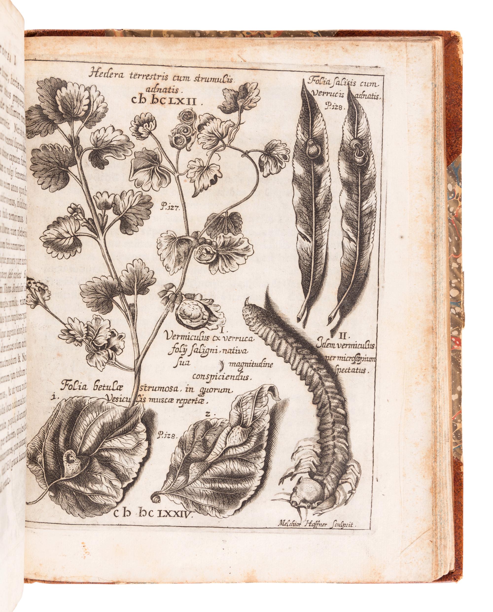 WELSCH, Georg Hieronymus (1624-1677). Hecatosteae I [ -II ]. Observationum Physico-Medicarum ad Societatem Naturae Curiosorum in Germania . Augsburg: Theophil Goebel and Joannis Schönig, 1675.